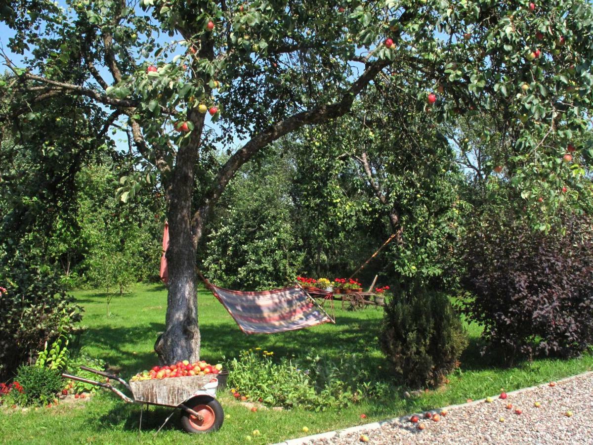 Appartement Dom Na Mazurach Agroturystyka à Giżycko Extérieur photo